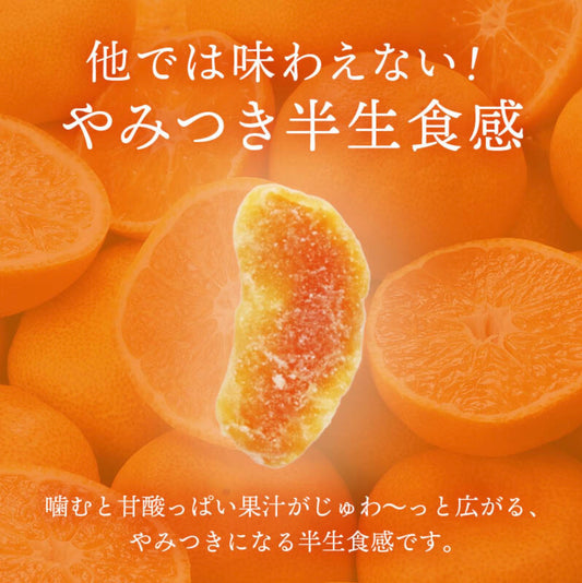 前田家 半生ドライみかん (110g)/ 前田家 半生食感橙乾小食 (110克）