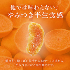 前田家 半生ドライみかん (110g)/ 前田家 半生食感橙乾小食 (110克）